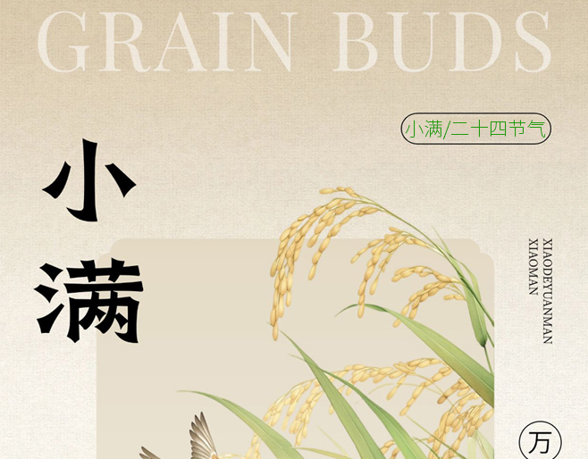 人生不求太满，小满即是圆满🌾
